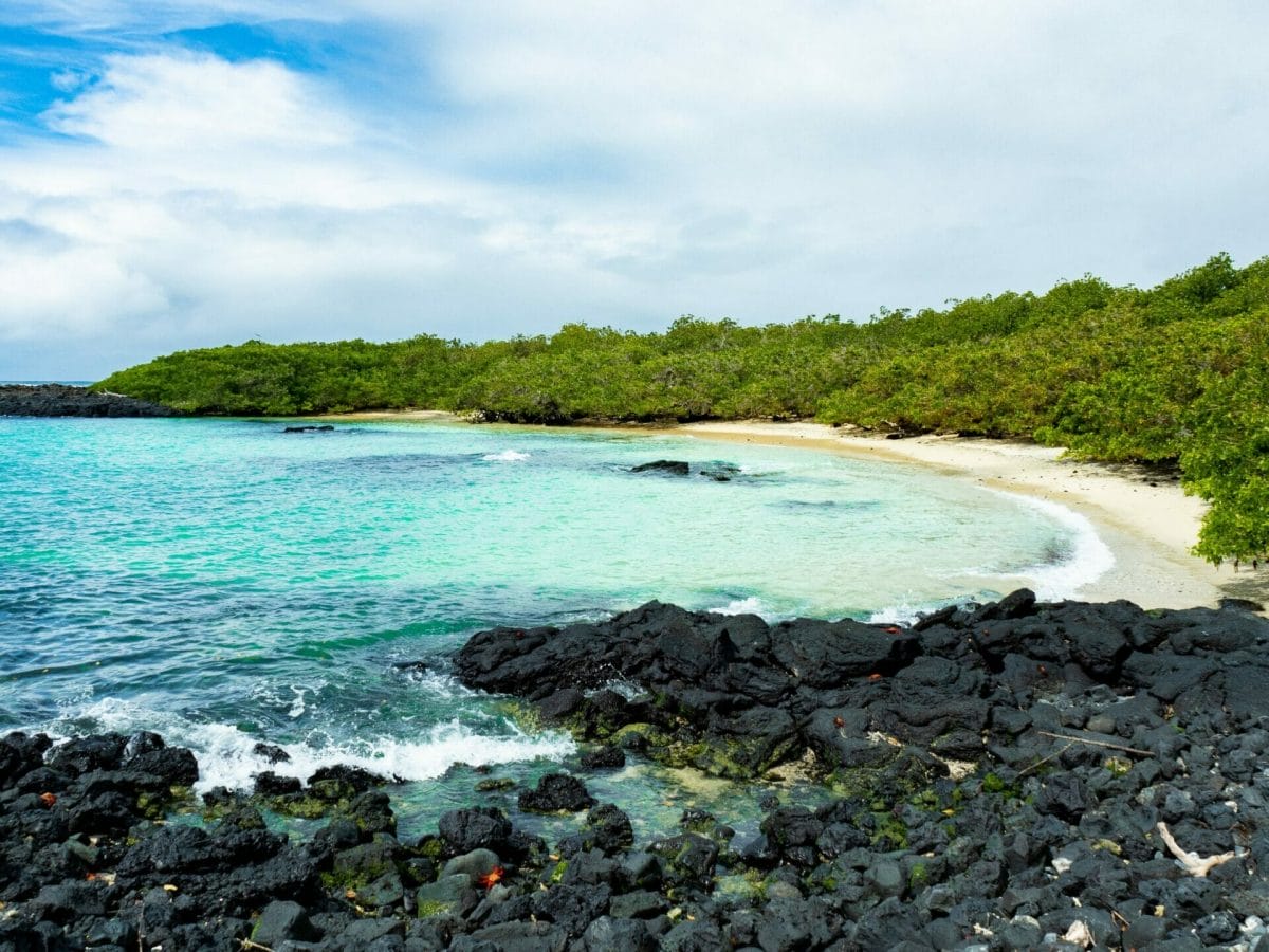 Blue water and black volcanic rock beach Galápagos