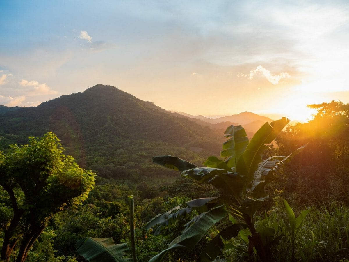 sunset jungle Casa Loma Minca Colombia