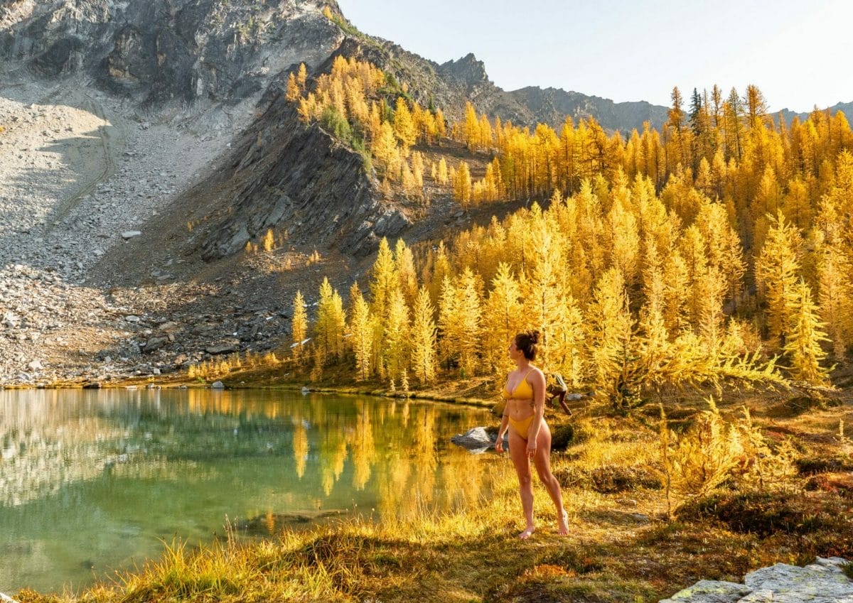 Lake Chelan Summit Trail hike golden larch Stehekin