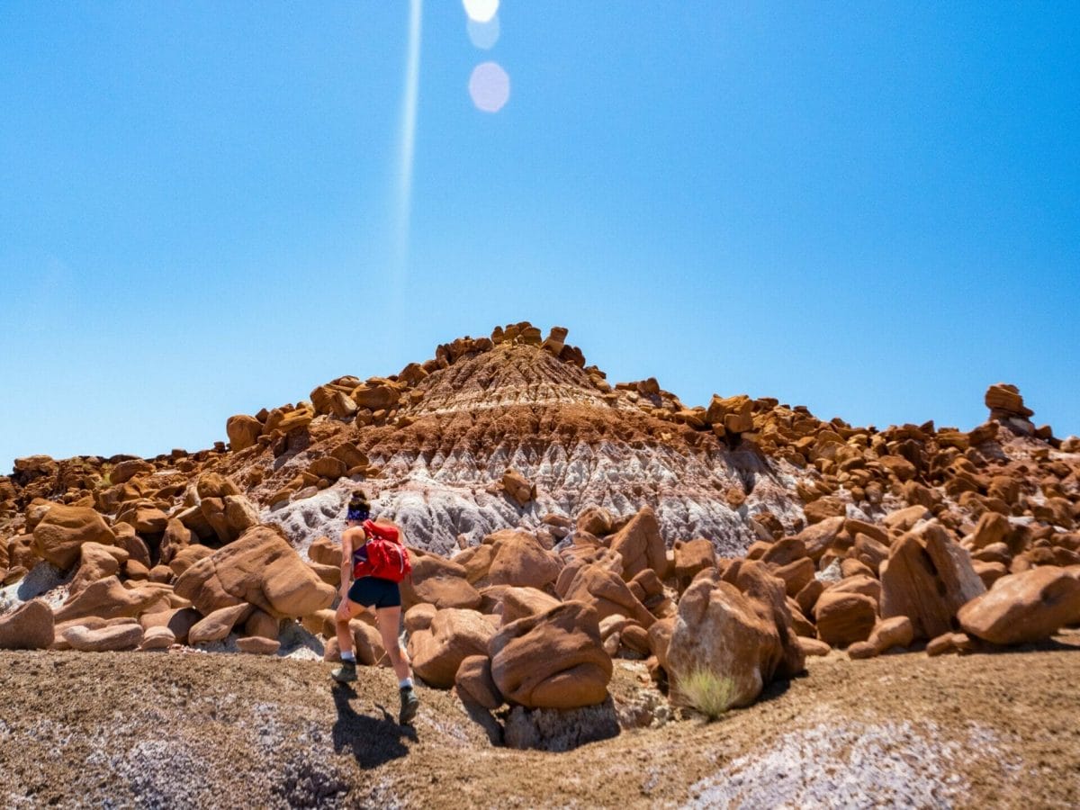 Petrified Forest National Park best hikes itinerary