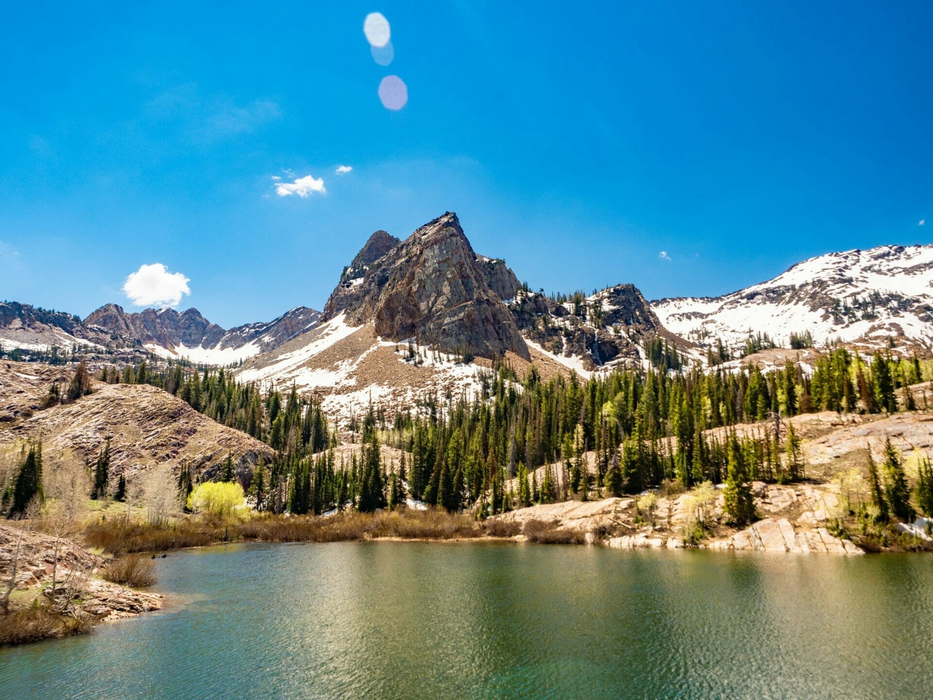 Lake Blanche hike moose Salt Lake City Wasatch Mountains