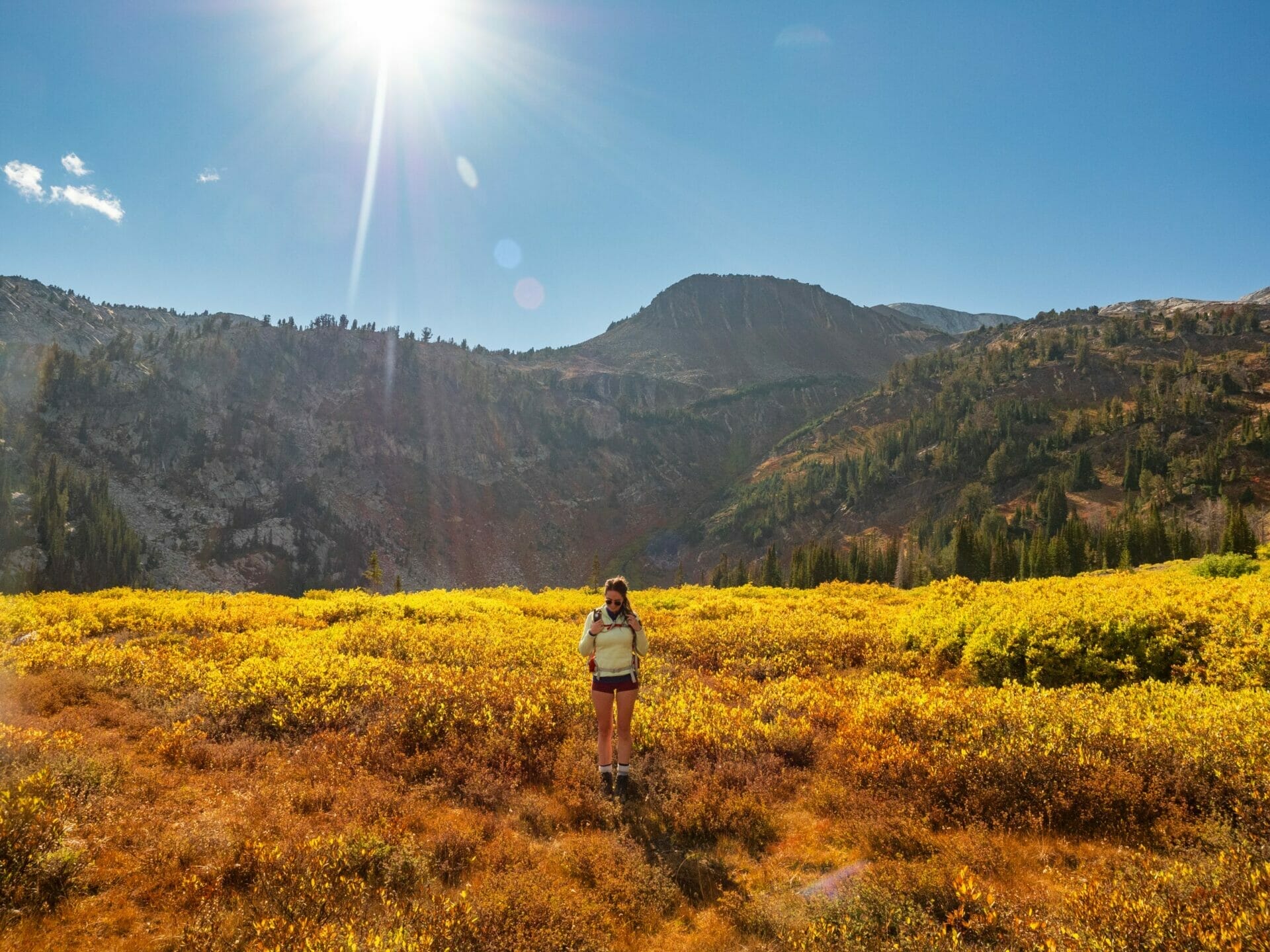 Eagle cap shop wilderness day hikes