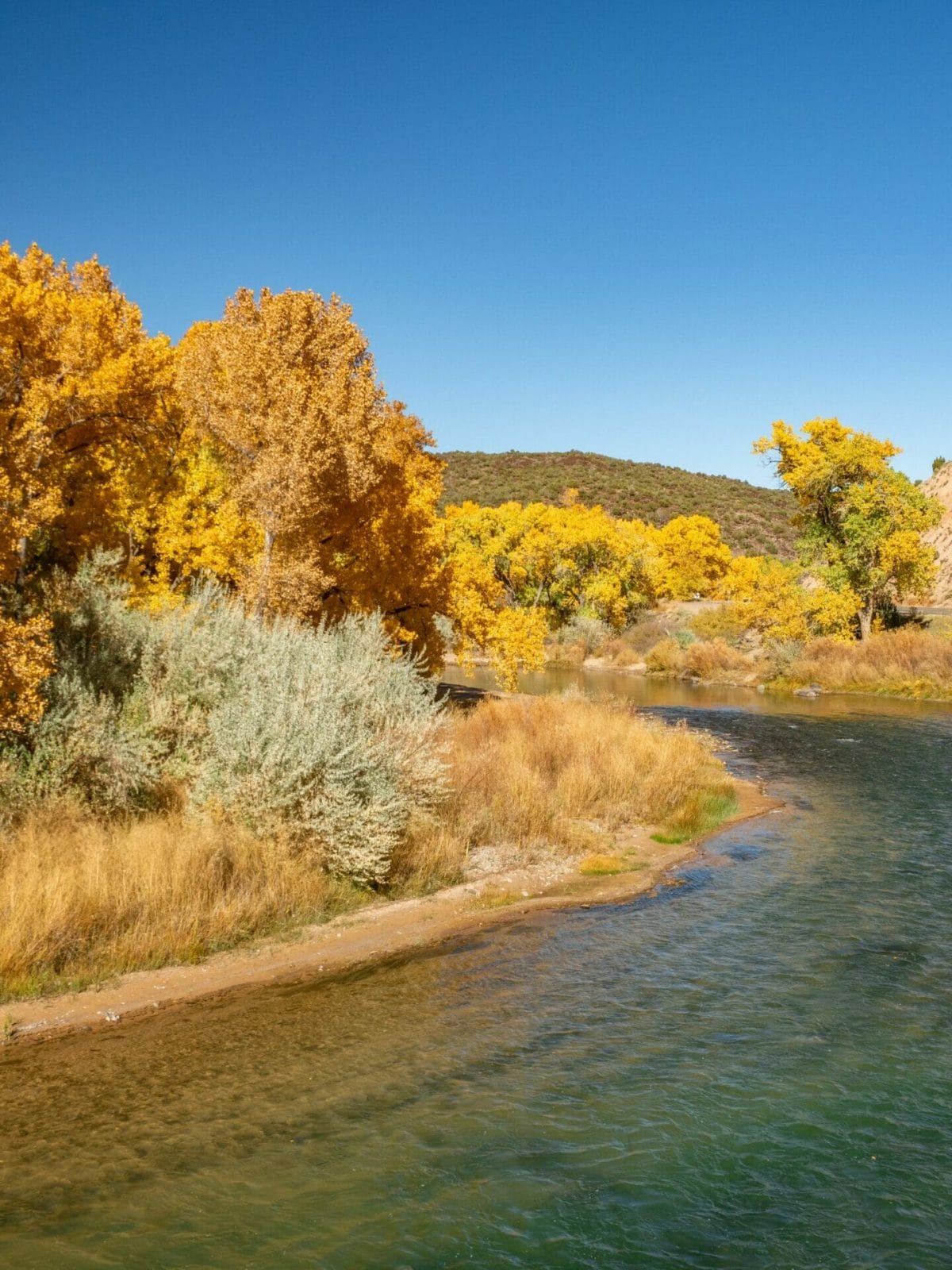 Autumn colours Rio Grande Taos New Mexico