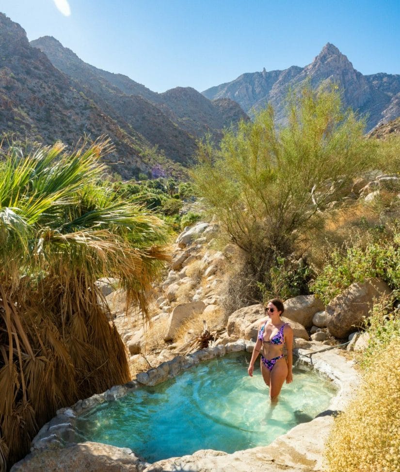Guadalupe Canyon Oasis Hot Springs Mexicali Baja