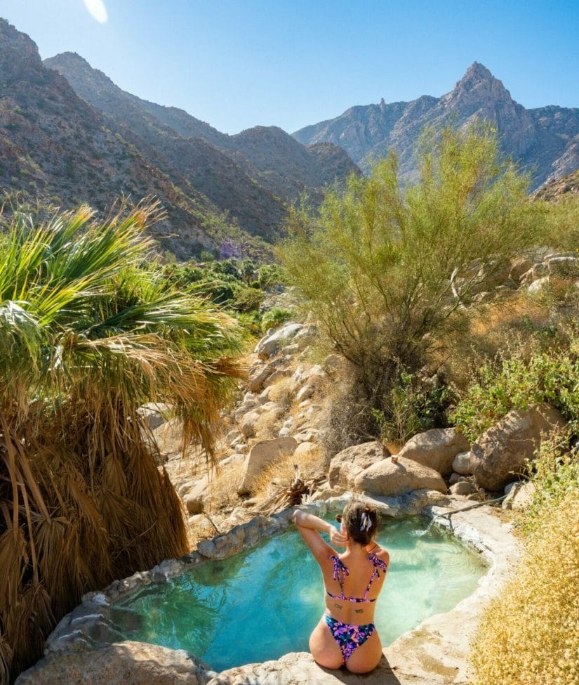 Guadalupe Canyon Oasis Hot Springs Mexicali Baja