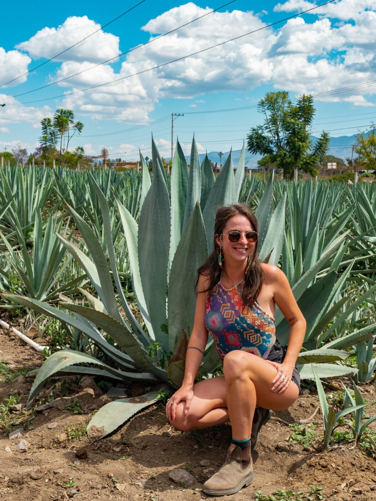 Mezcal tasting in Santa Catarina Minas, Oaxaca